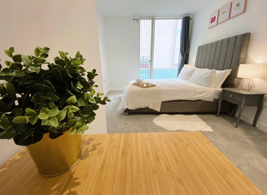 Transmission House Cosy Hauz